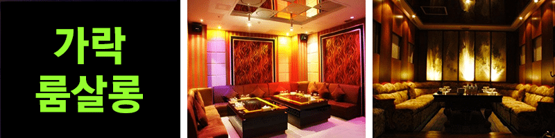 Read more about the article 가락동 룸살롱