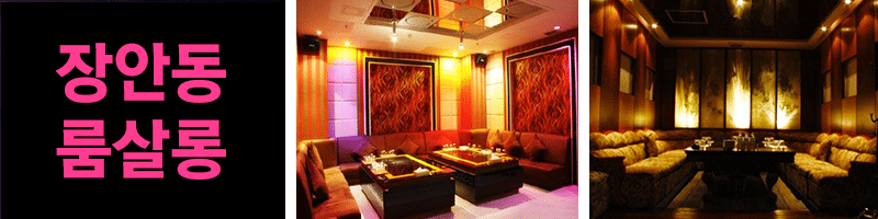 Read more about the article 장안동 룸살롱